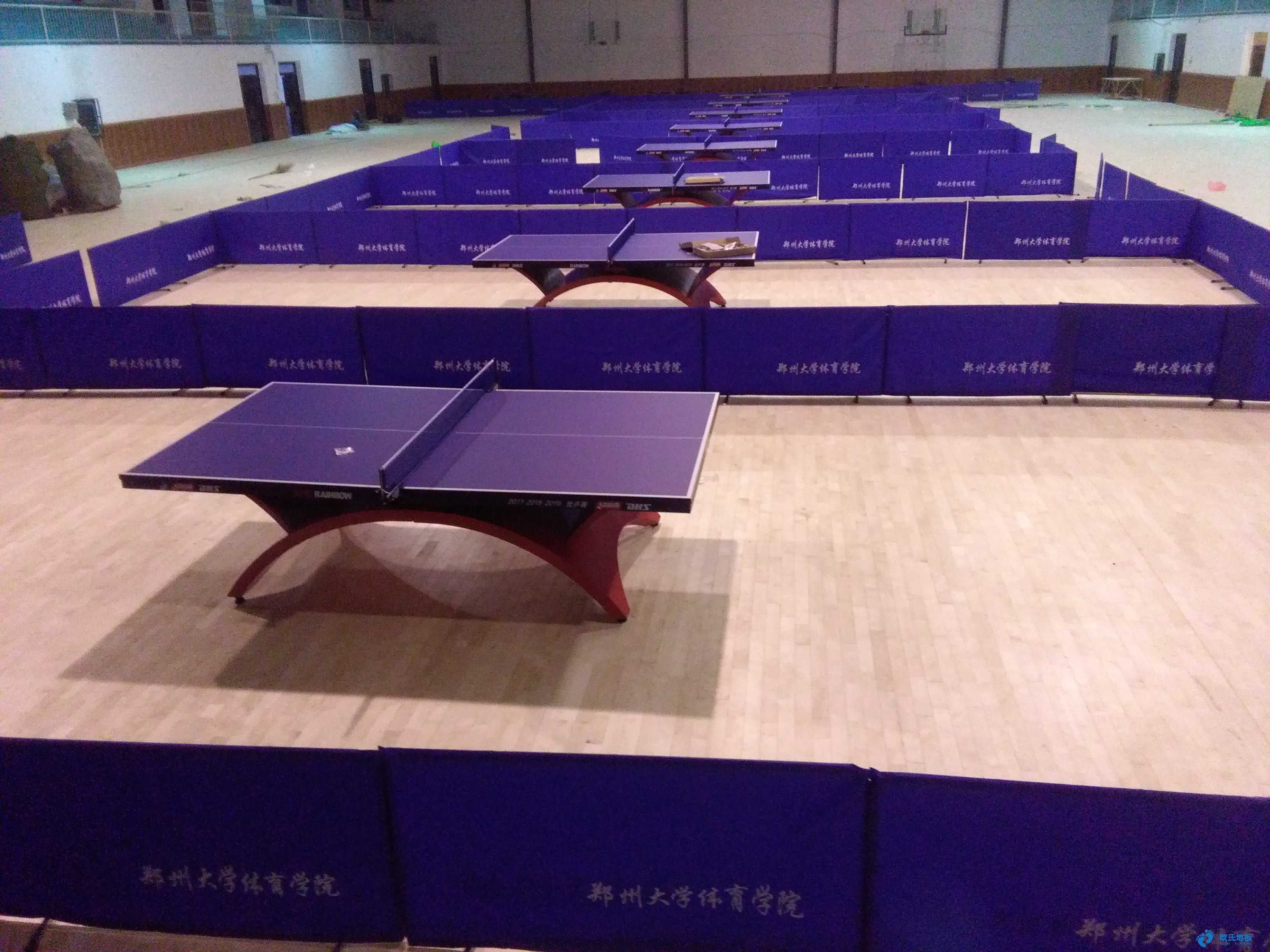 鄭州大學(xué)體育館運(yùn)動木地板完工照片