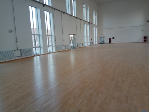 哈爾濱籃球場木地板生產(chǎn)廠家，歐氏地板有限公