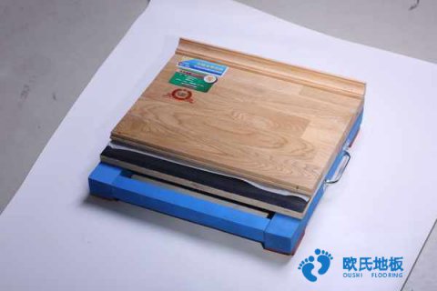 楓木、楓樺木、柞木運動地板用途是什么