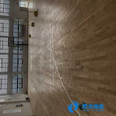 學(xué)?；@球館地板木紋型