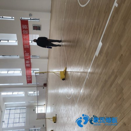 學(xué)?；@球館地板木紋型