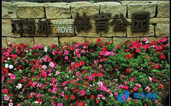 學(xué)?；@球場地地板反彈力