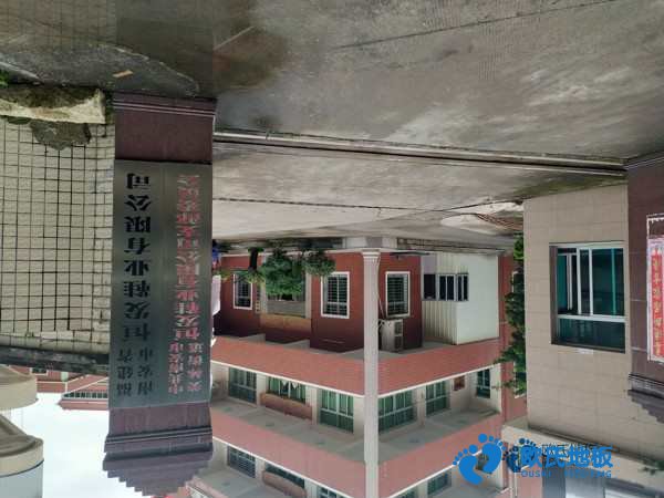 學(xué)?；@球場地地板防潮層